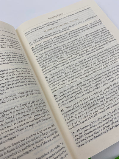 The noble Quran Sky blue French-Arabic