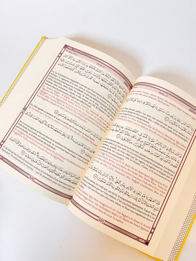The Holy Quran - Phonetics and Translation of meanings in French Green