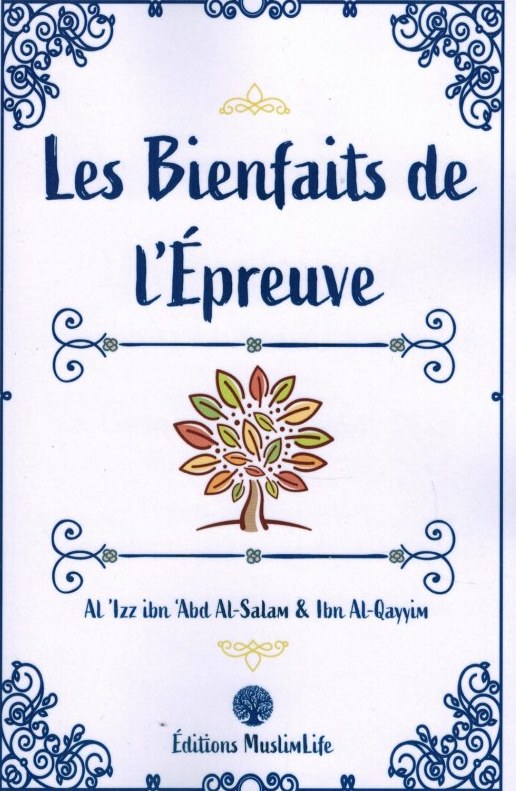 DIE VORTEILE DES VERSUCHS