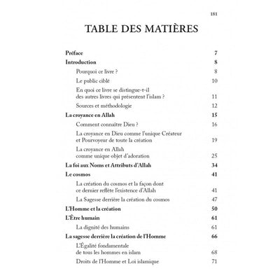 QU'EST-CE QUE L'ISLAM ? LE POINT DE VUE D'UN CONVERTI